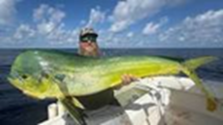 Person on a boat holding a large green and yellow fish against a blue sky with clouds.