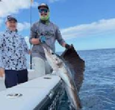 Two people on a boat holding a large fish under a clear blue sky.