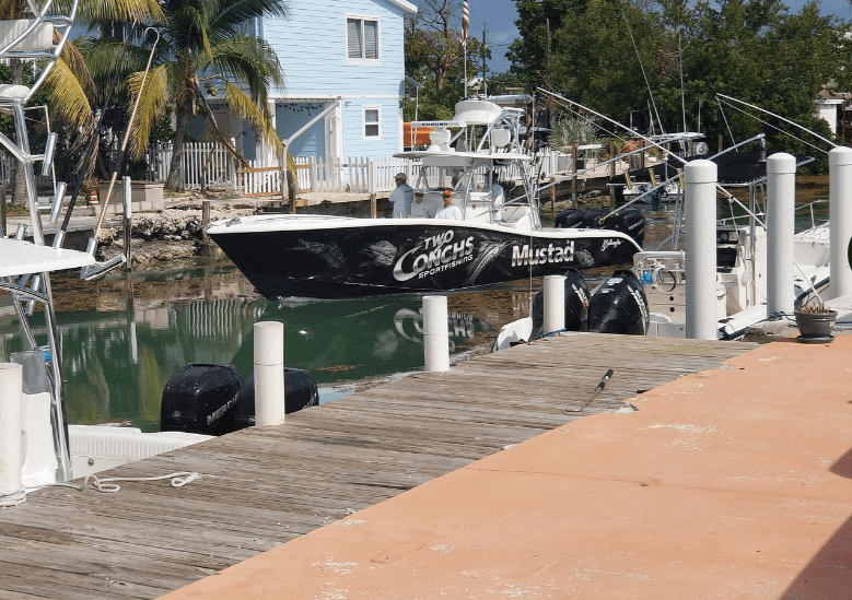 Docked speedboat with branding near a waterfront house and palm trees.