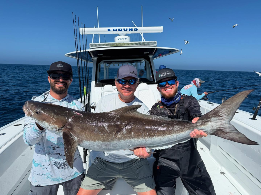 Three men on a boat holding a large fish, with seagulls in the background.