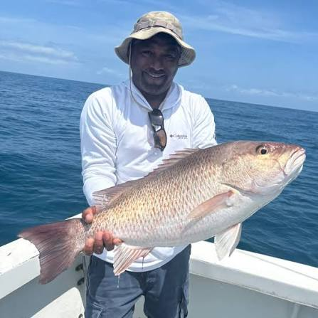 Person on a boat holding a mangrove snapper fish, wearing a hat and sunglasses.