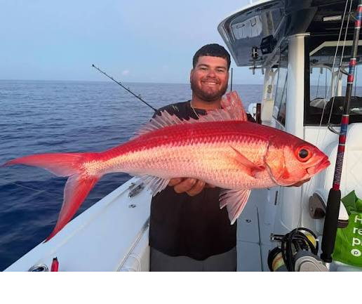 Man on boat holding large queeen snapper fish, ocean in background.