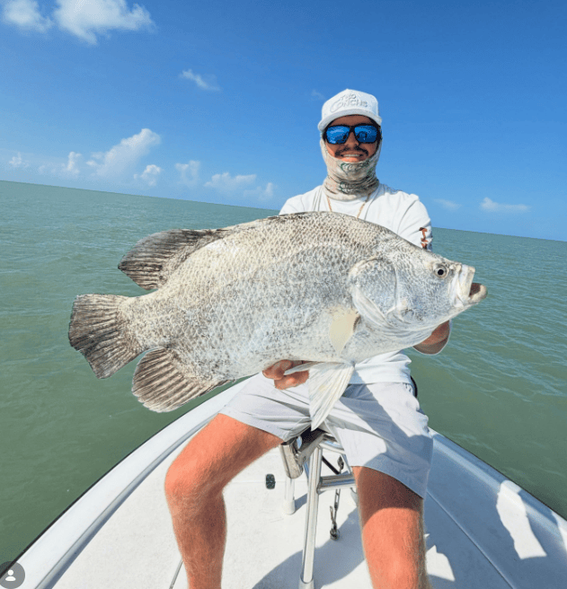 Person holding a large fish on a boat in sunny weather.